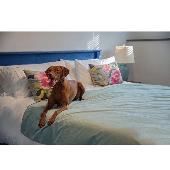 PawPad Waterproof Protective Cover Blanket  Bed, Couch, Chair, Queen Size - Picture 9 of 12